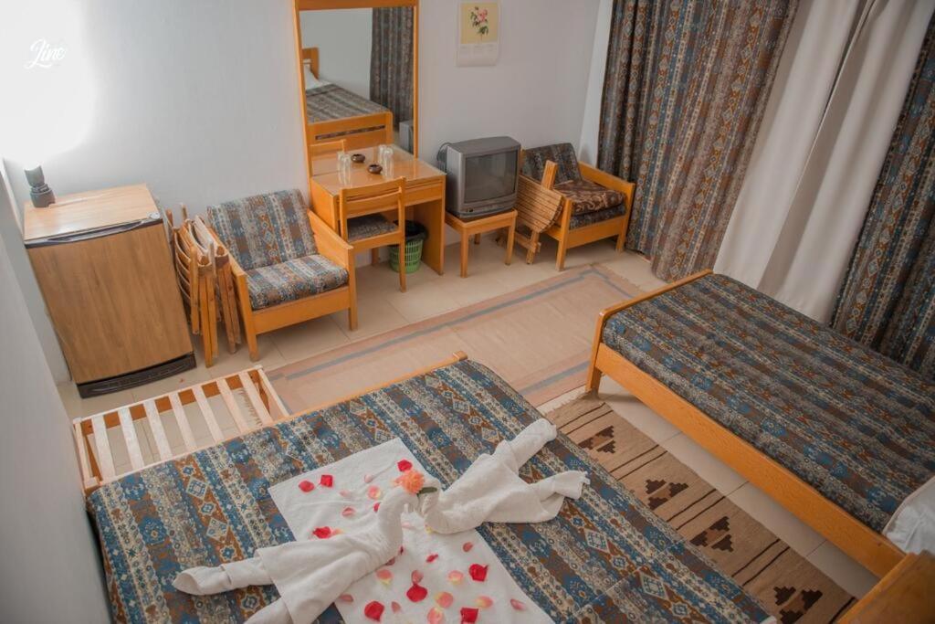 Lagona Dahab Hotel Eksteriør billede